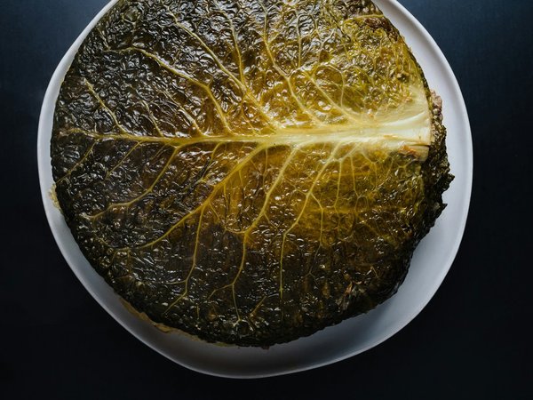 Peut-on préparer des plats de riz de chou-fleur pour un repas faible en calories ?