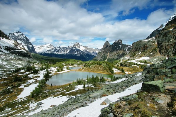 Comment préparer un plateau de fromages varié et harmonieux pour une dégustation parfaite?